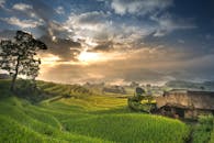 在日出时分戏剧性的天空下，可以看到令人惊叹的稻田和乡村小屋