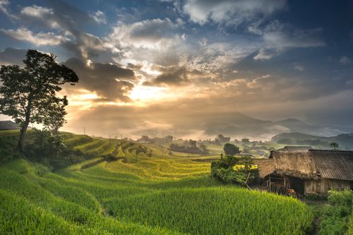 Free A breathtaking view of rice terraces and a rustic hut under a dramatic sunrise sky. Stock Photo