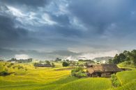 Photo of Houses on Green Grass Field