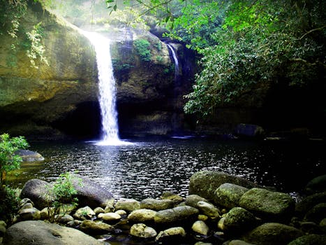宁静的瀑布倾泻入森林中宁静的水池，四周环绕着郁郁葱葱的绿色植物和光滑的巨石