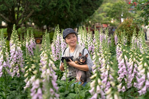 Photo of a Woman in a Flower Field Holding a Chihuahua Puppy