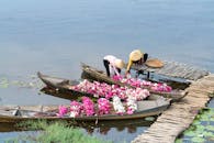 两名戴着圆锥帽的妇女在木码头旁的船上收集睡莲，展现了传统的生活方式