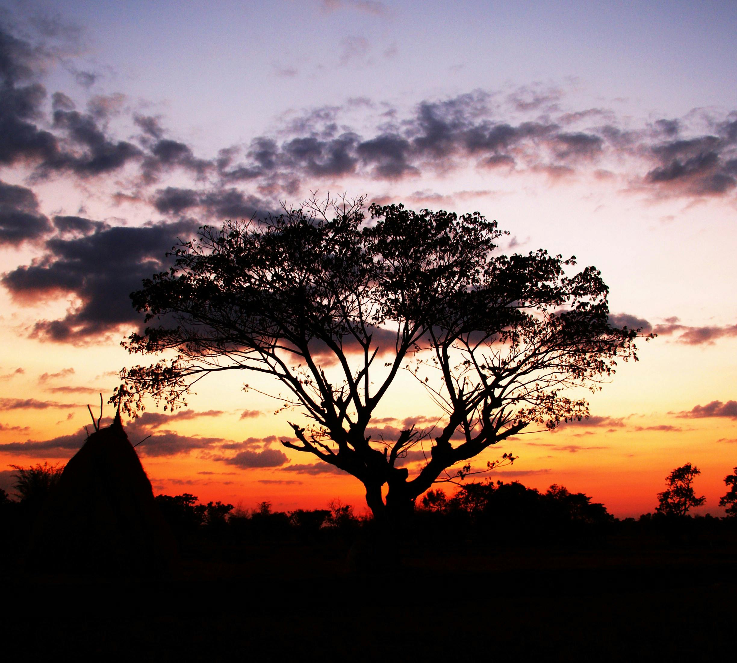 Black Background Landscape Photos, Download The BEST Free Black
