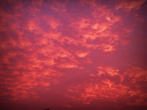 Gratis stockfoto met atmosfeer, bewolkt, buiten Stockfoto