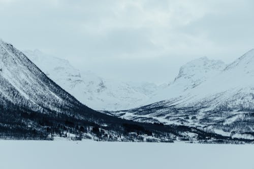 Kostenloses Stock Foto zu berge, ersatzfjord, gletscher