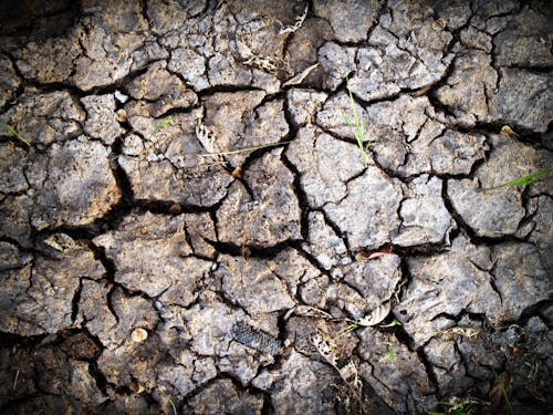 Immagine gratuita di ambiente, argilla, avvicinamento