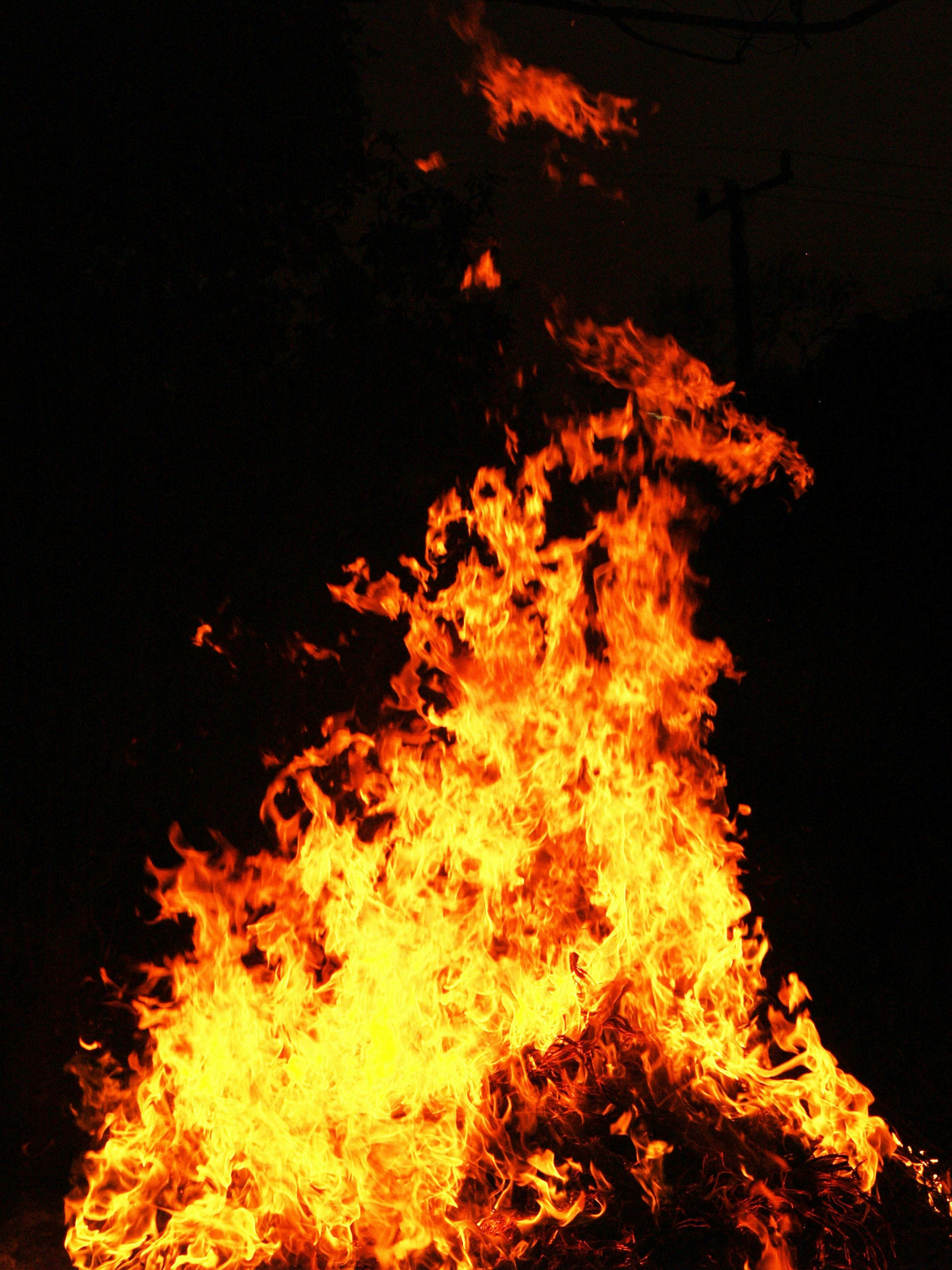 Free stock photo of ash, blaze, bonfire