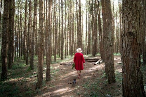 Woman In Red Dress Walking in the Woods With A Dog