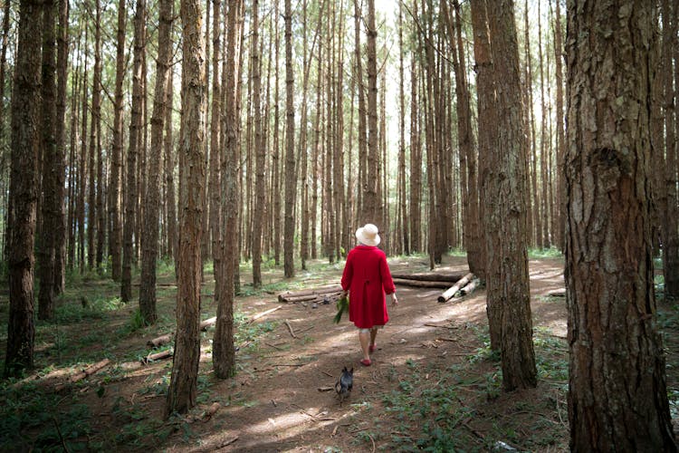 Woman In Red Dress Walking In The Woods With A Dog