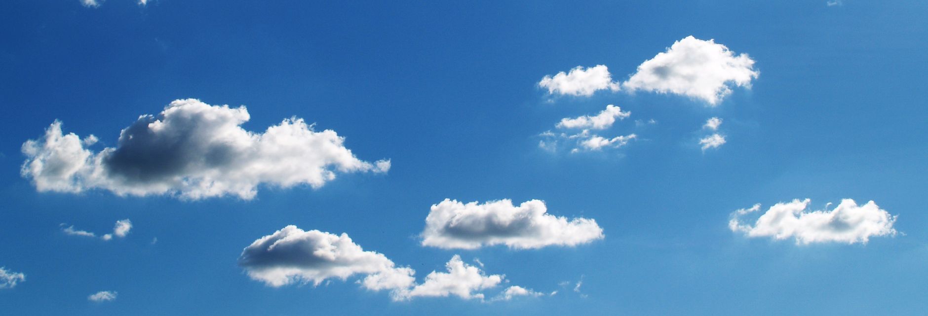 Vitamin D and Alzheimer's Disease: What the Science Says