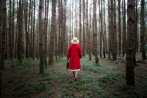 Женщина в красном пальто в окружении деревьев