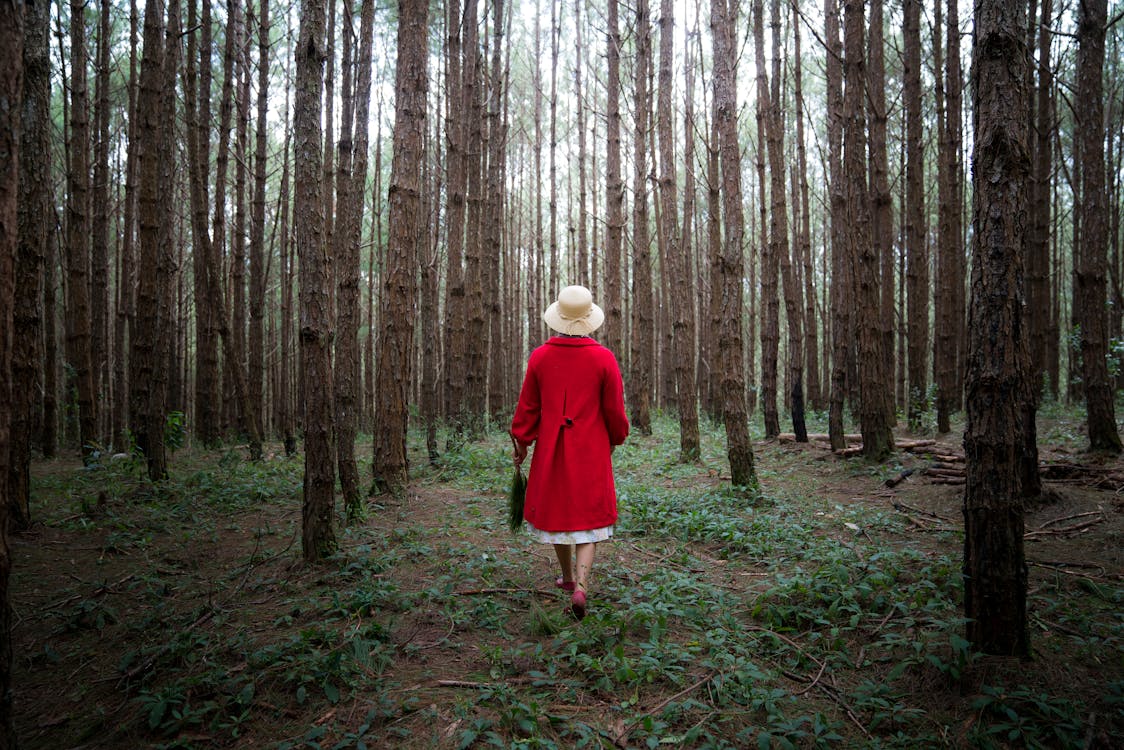 Ağaçlarla çevrili Kırmızı Paltolu Kadın