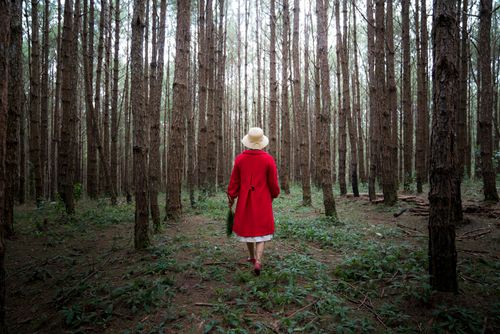 Free A woman in a red coat and hat walking through a dense forest during fall. Stock Photo