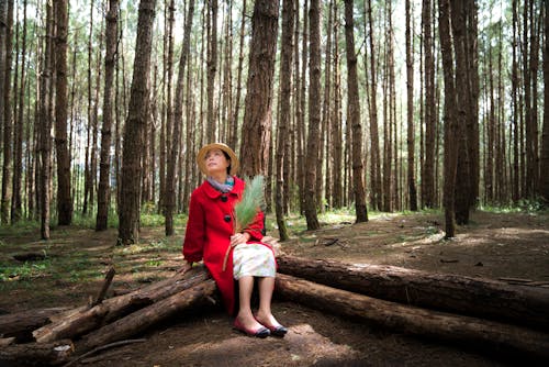 Free Woman Sitting on Wood Log Stock Photo