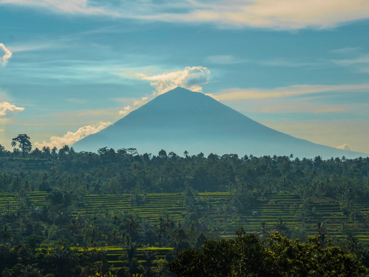 7 Day Wellness, Breathwork & Yoga Retreat in Ubud, Bali 1
