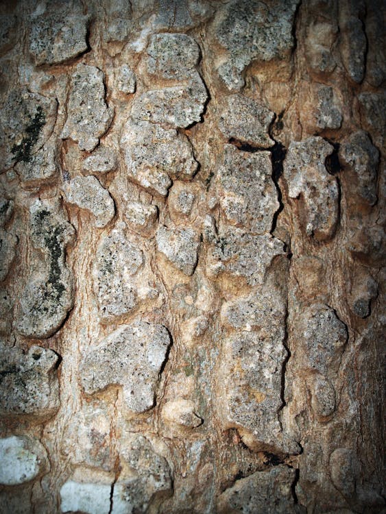 Bezpłatne Darmowe zdjęcie z galerii z chropowaty, kamienie, natura Zdjęcie z galerii