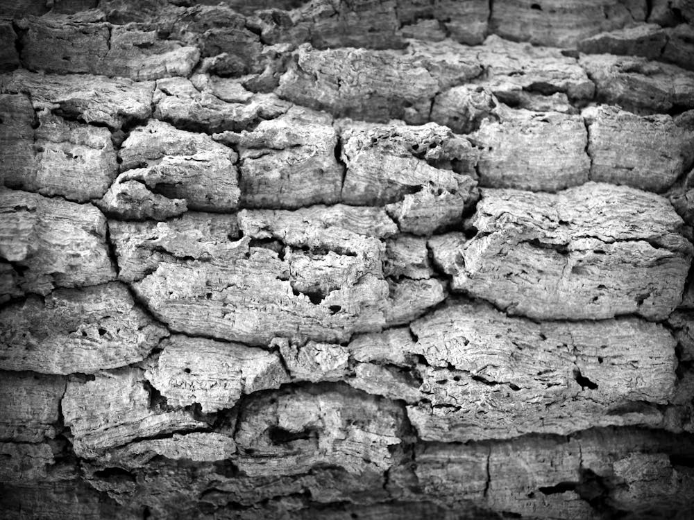 Bezpłatne Darmowe zdjęcie z galerii z beton, cement, chropowaty Zdjęcie z galerii