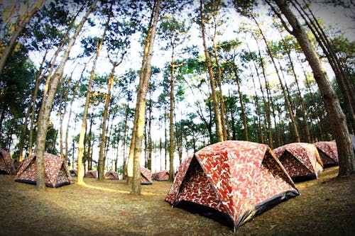 Fish-eye Lens Photography of Red-and-white Tents in the Middle of Forest
