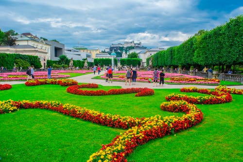 Kostnadsfri bild av blomma, blomsterträdgård