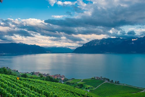 Free stock photo of cloudy, lake