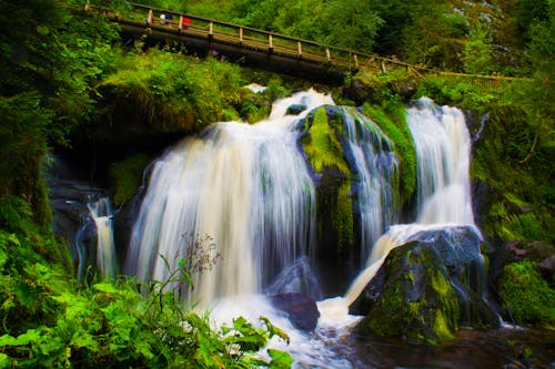 Free stock photo of black forest, waterfall