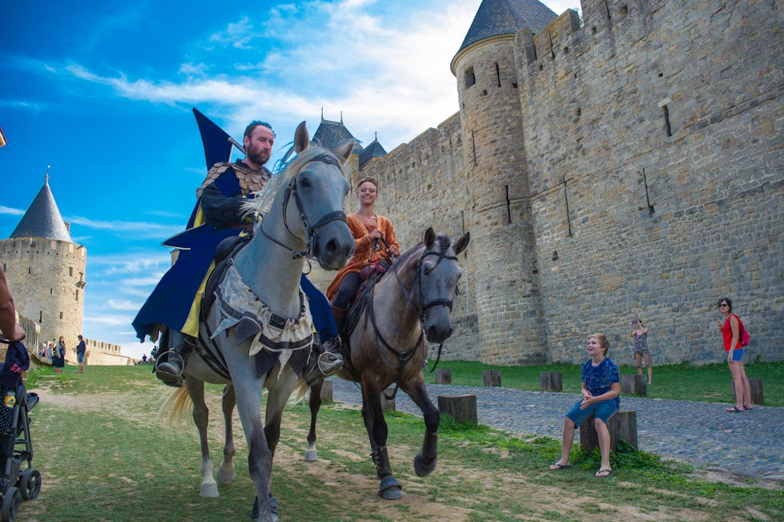 Free stock photo of castle, horse, knights