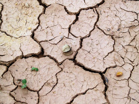 Free stock photo of earth, desert, dry, texture