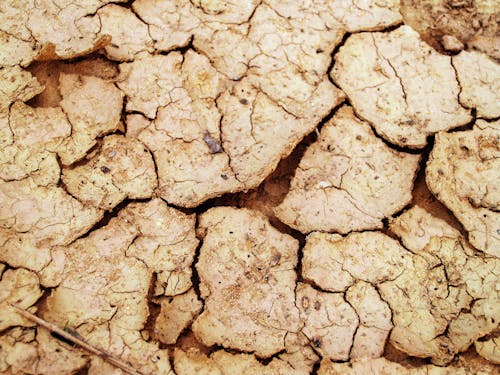 Free Dried Soil Stock Photo
