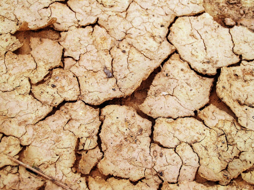 arid, clay, close-up