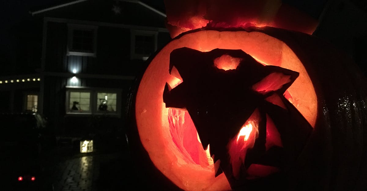 Free stock photo of halloween, pumkins, werewolf