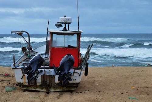 Free stock photo of beach, blue, boat