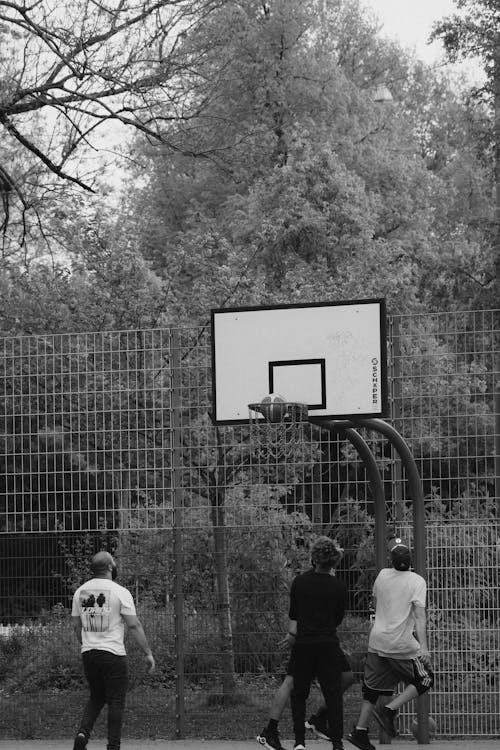 Fotobanka s bezplatnými fotkami na tému basketbal, čierny a biely, kôš