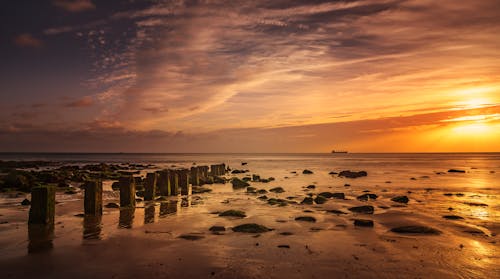 Foto d'estoc gratuïta de alba, costa oceànica, pedres