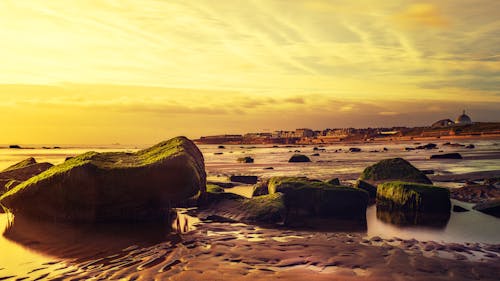 岩石, 岸邊, 日落 的 免費圖庫相片