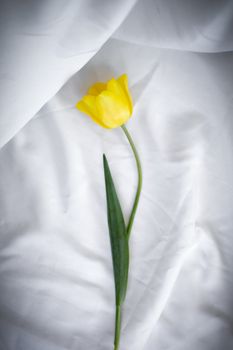 A single yellow tulip lies delicately on soft white fabric, creating a minimalist floral composition.