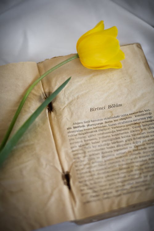 A yellow tulip is sitting on top of an old book