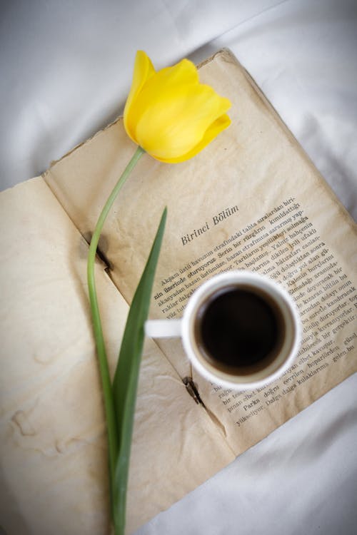 A book with a yellow tulip on it and a cup of coffee