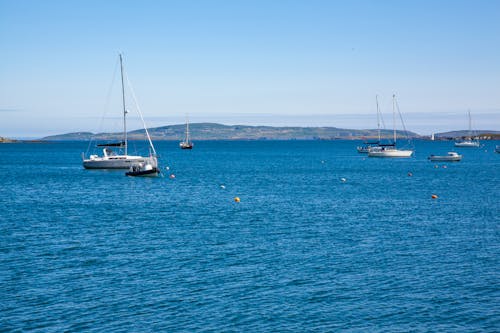 Foto profissional grátis de barcos a vela, céu limpo, costa