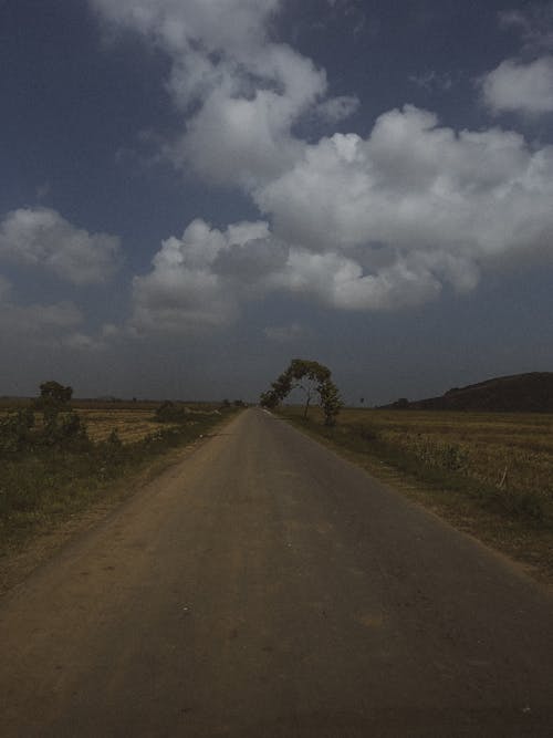 Foto profissional grátis de blogueiro, estrada, iluminação ambiente