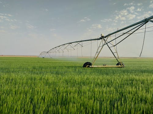 Fotobanka s bezplatnými fotkami na tému dedinský, farma, hracie pole