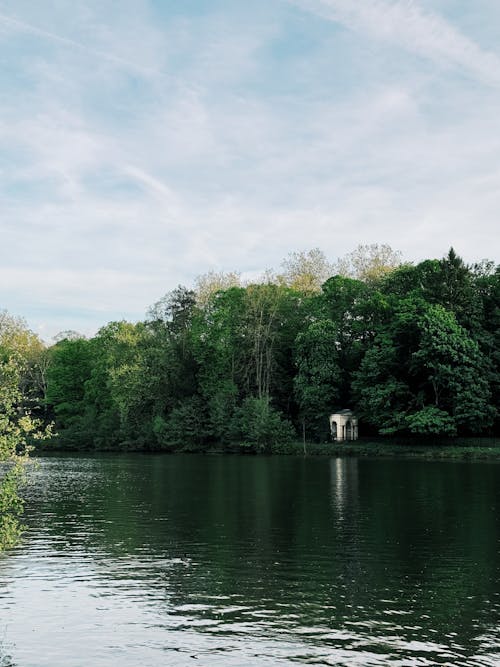 bitki örtüsü, göl evi, göl kenarı içeren Ücretsiz stok fotoğraf
