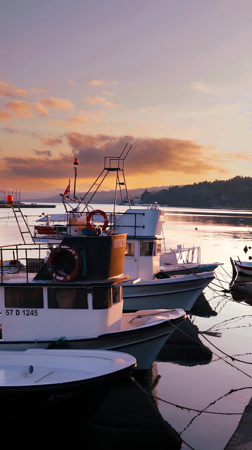 Photos gratuites de à quai, bateaux à moteur, coucher de soleil