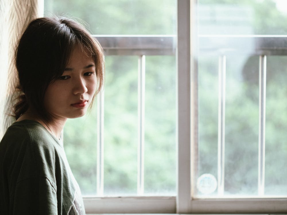 Free Brunette Woman in Front of a Window  Stock Photo