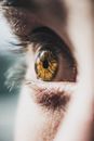 Close-Up Photo of Person's Eye