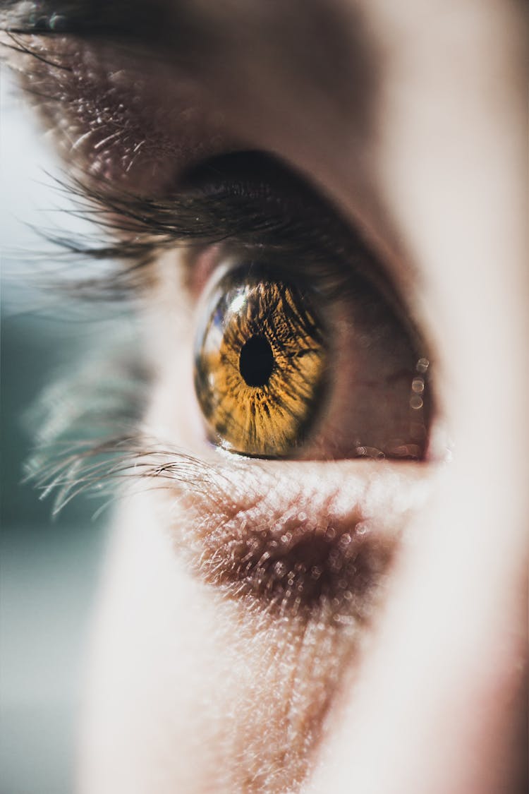 Close-Up Photo Of Person's Eye