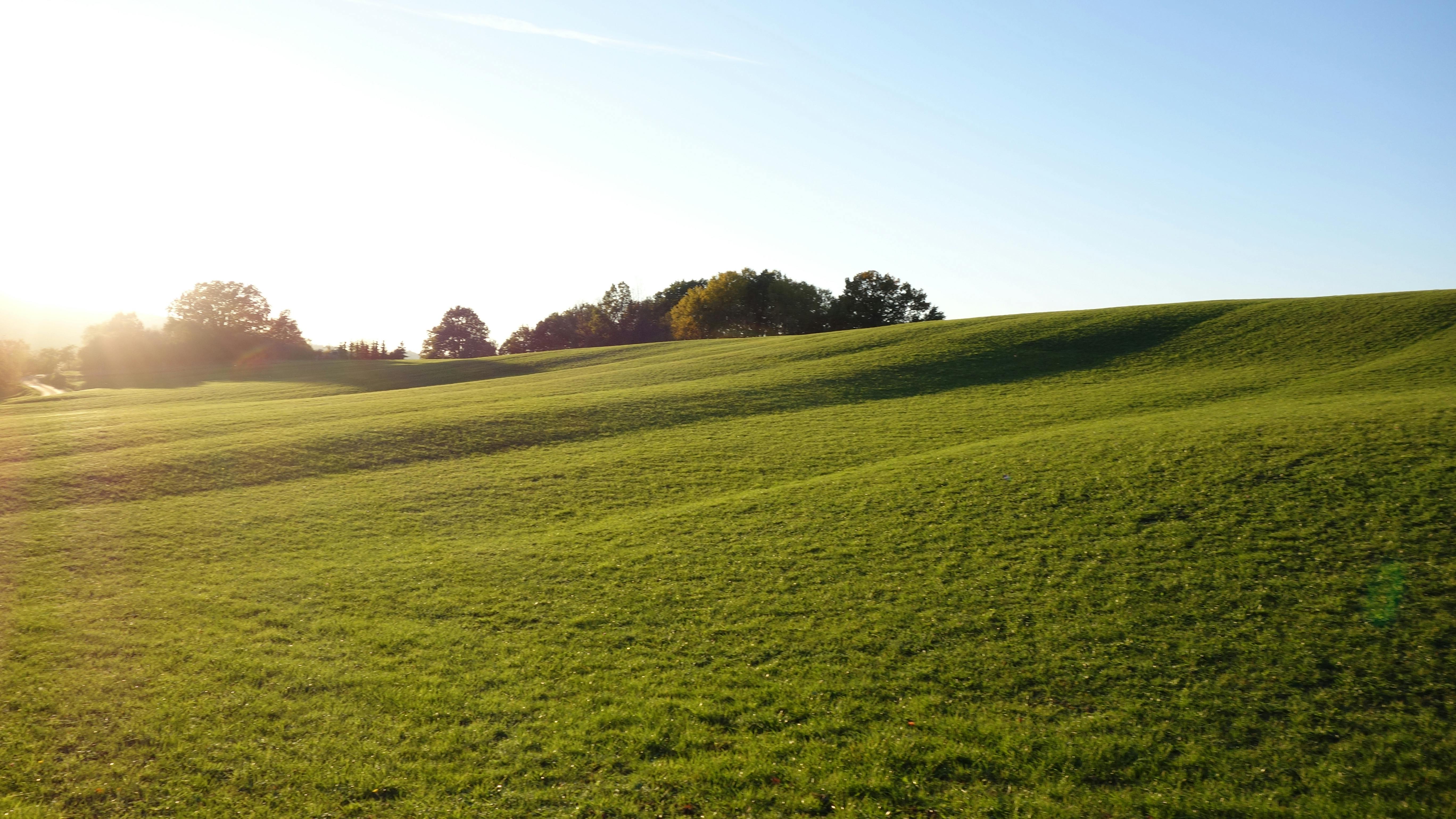 Free stock photo of blue sky, green fields, green grass