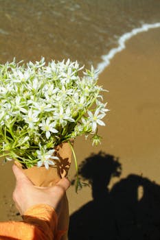 White flowers held by a woman on a sandy beach on a sunny day.