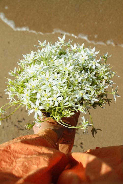 A person holding a vase of flowers on the beach