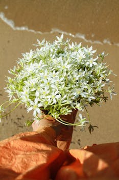A vibrant bouquet of white flowers held near the shoreline on a sunny day.