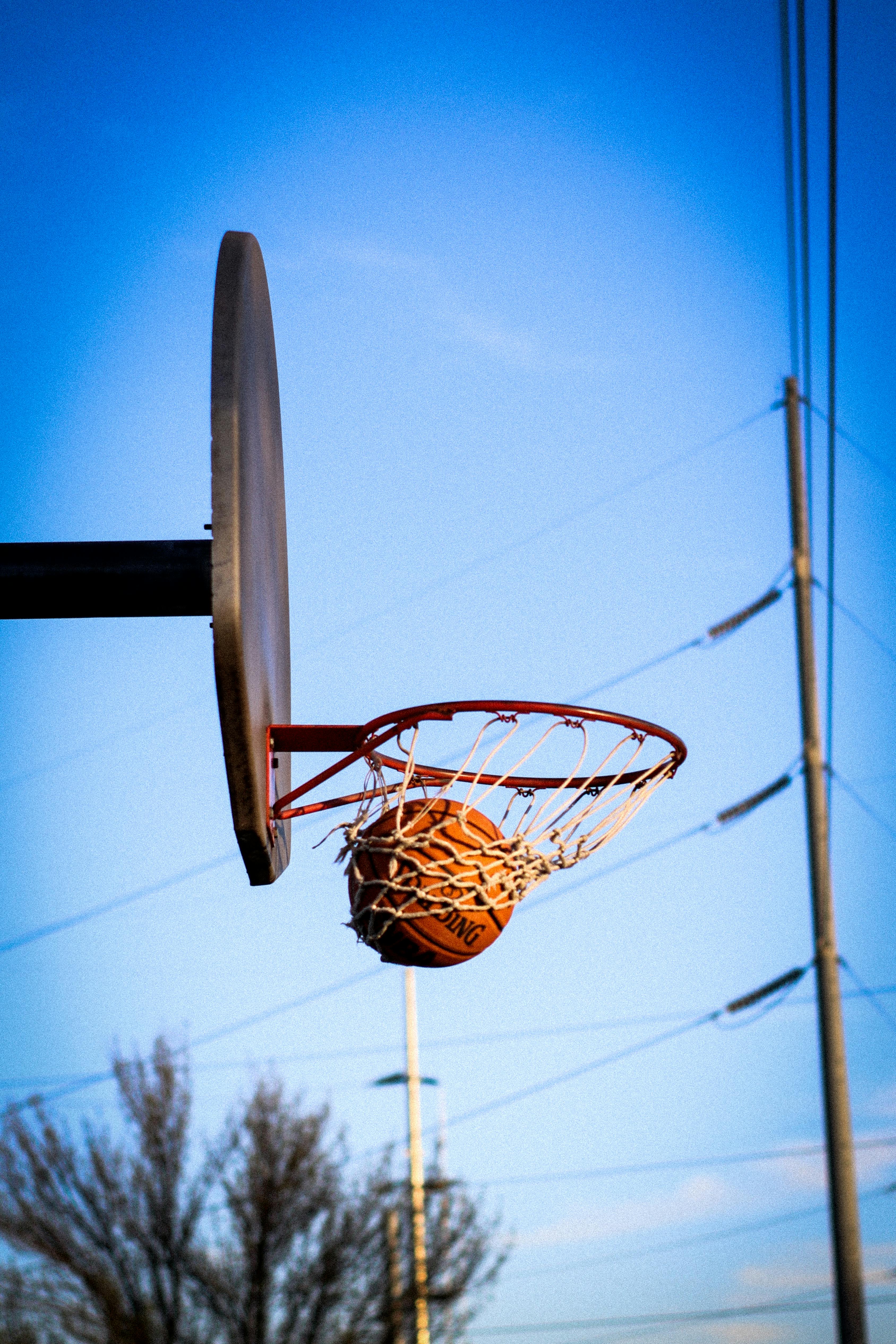 basketball hoop with basketball